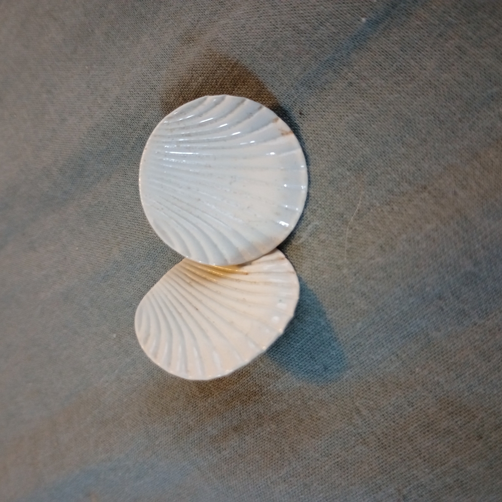 Elegant White Shell Decor